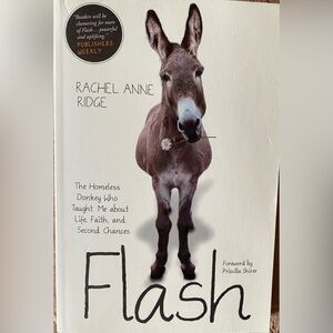 Flash: The Homeless Donkey Book by Rachel Anne Ridge